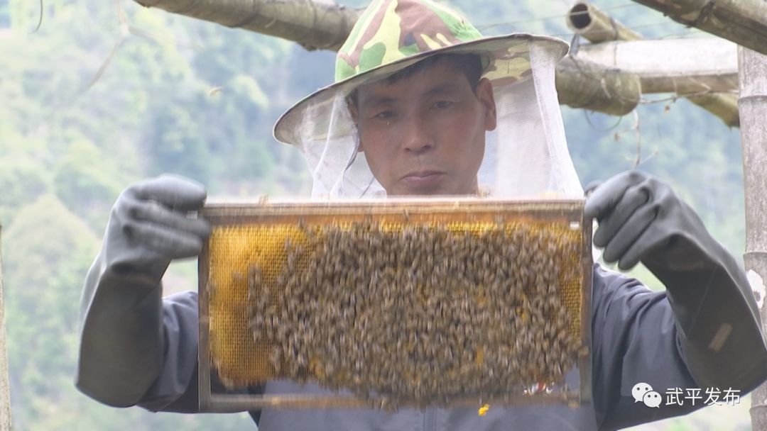 养殖黑豚利润怎样_致富经黑豚养殖视频_视频致富养殖黑豚鱼