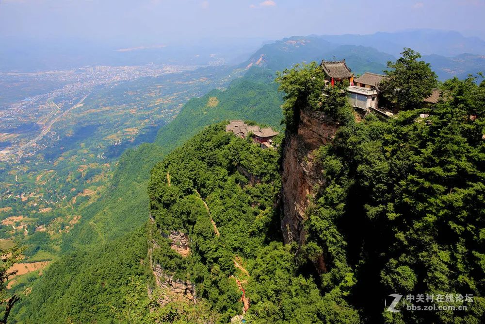 跑山鸡养殖技术有哪些_跑山鸡养殖方案设计_养殖跑山鸡技术有哪些