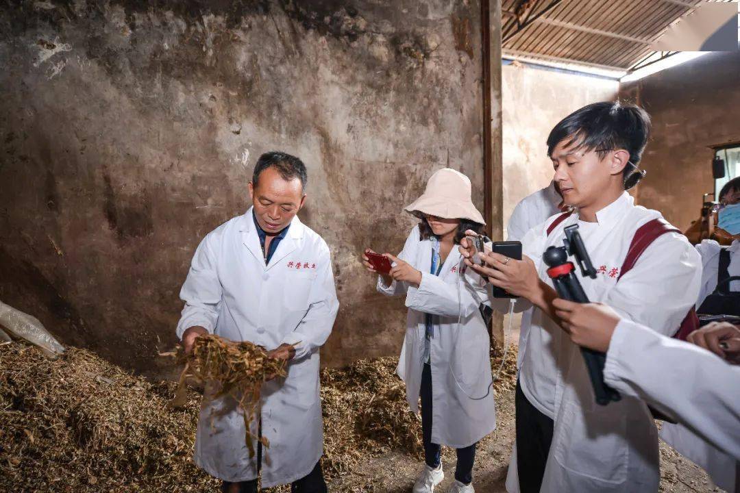 海南黄牛养殖致富_海南本地黄牛养殖_海南黄牛养殖基地