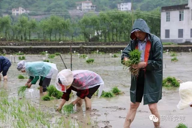 致富经陈斌_鸡致富经陈勇_致富经鸡