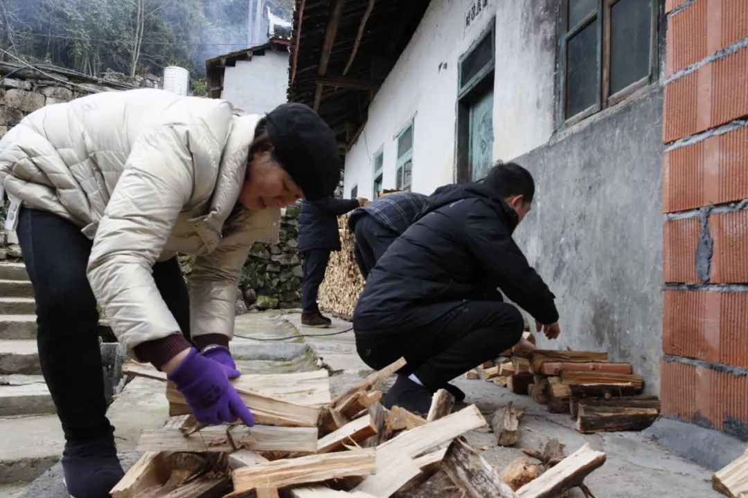 致富经茶油_致富在线油茶视频_致富经油茶在线