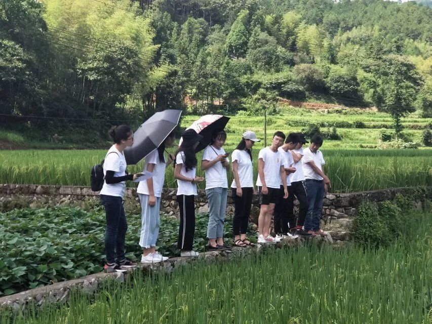 致富经油茶在线_致富经茶叶视频_致富经茶籽油