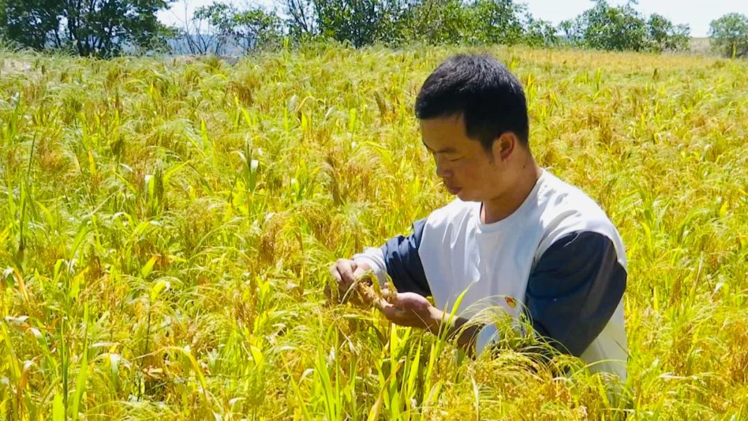 【点赞】创业青年高生强 勤劳致富树榜样