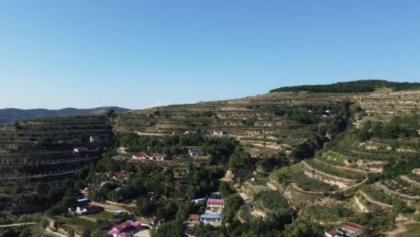 致富山地种植苹果怎么样_致富山地种植苹果可以吗_山地苹果种植致富