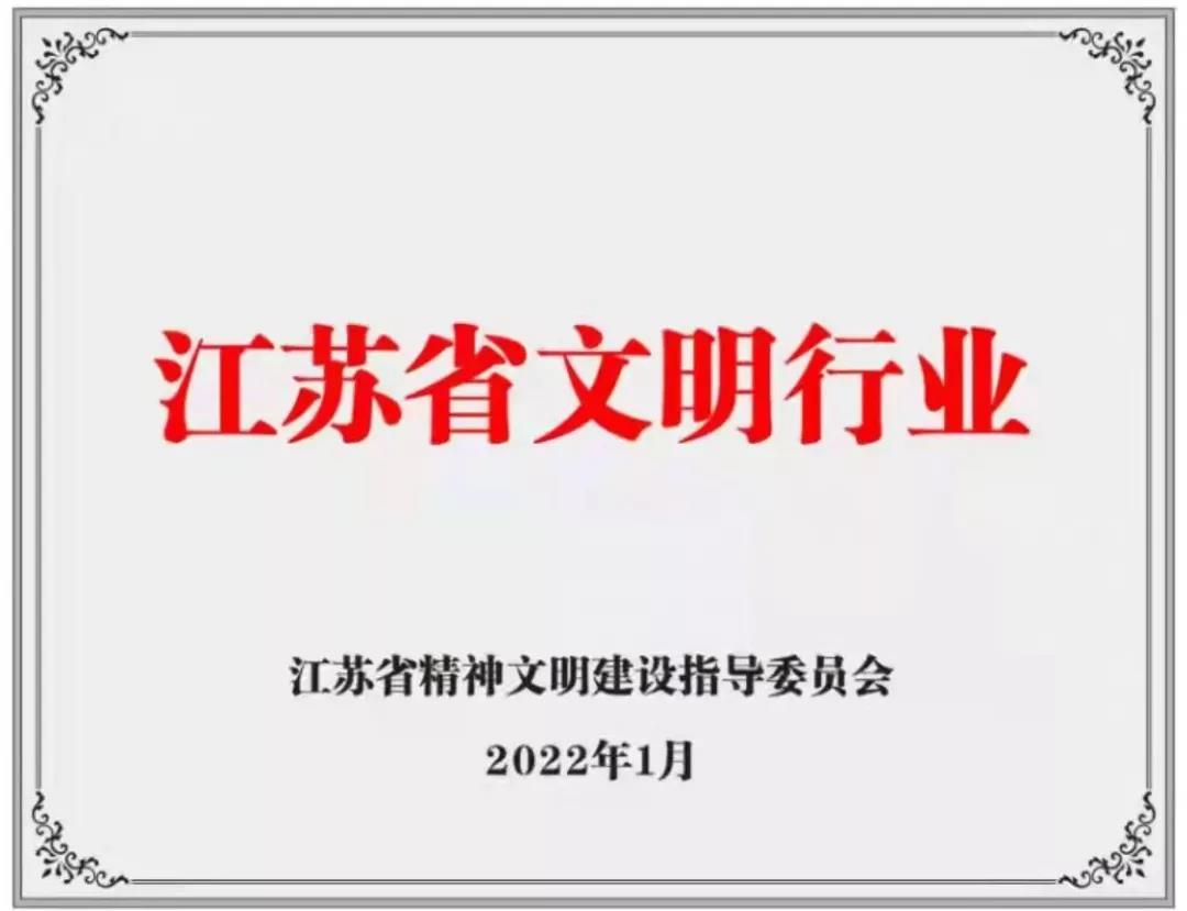 光明与文明同行——国网江苏电力为美好生活充电、为美丽江苏赋能