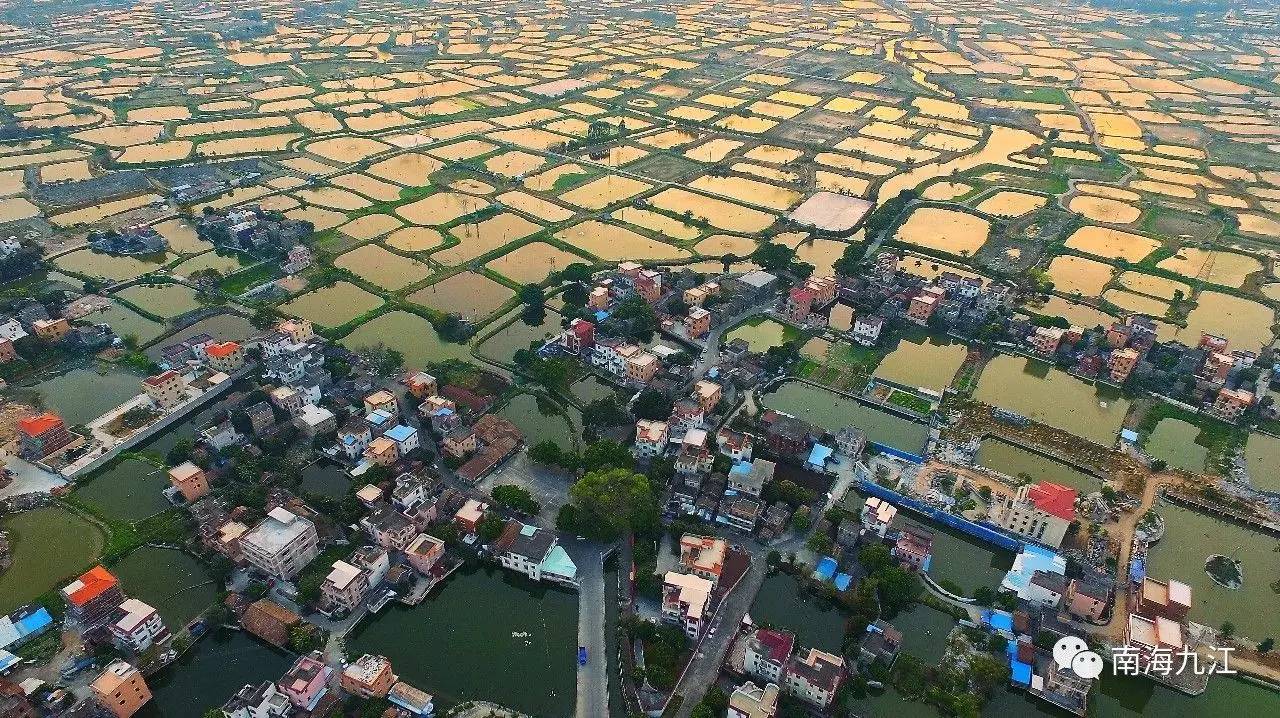 鱼苗孵化养殖技术视频_鱼苗孵化器视频_鱼苗孵化场操作规程