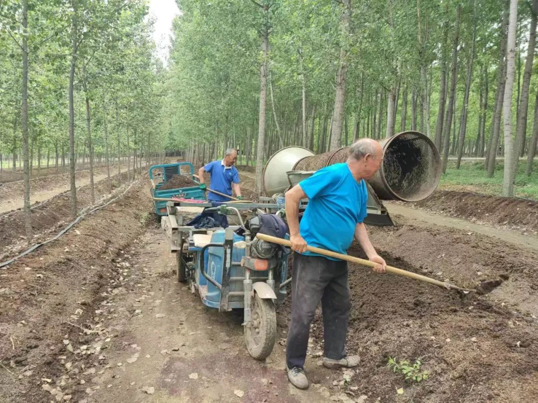 致富养殖蚯蚓视频_致富养殖蚯蚓赚钱吗_蚯蚓养殖致富