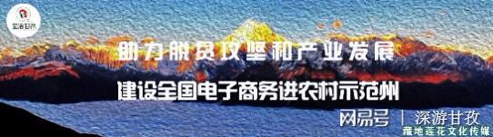 鸽子野鸡养殖技术_鸽子野鸡养殖技术_鸽子野鸡养殖技术