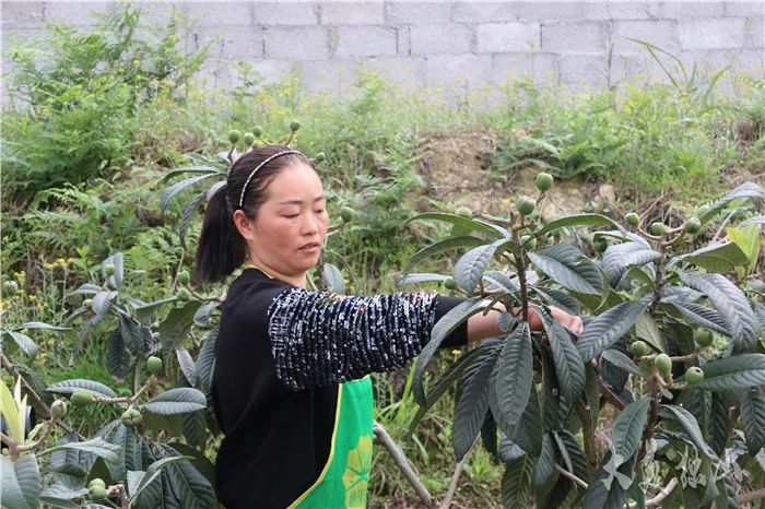 致富生意独门小说_致富生意项目_独门生意致富经