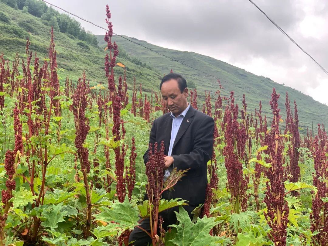 致富生意做什么_独门生意致富经_致富生意经