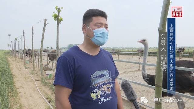 农村致富养殖鸵鸟_鸵鸟养殖致富经_农村养殖鸵鸟细节