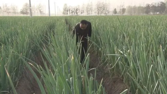 种植致富项目软件_致富种植创业项目_致富种植软件项目介绍