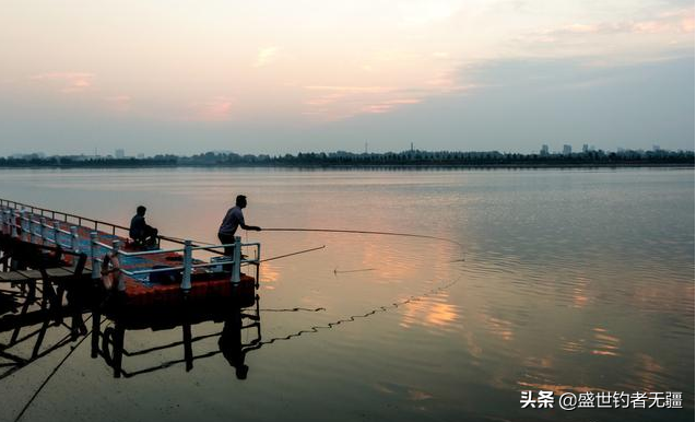 视频养殖大全鲢鱼技术教程_鲢鱼养殖技术视频大全_如何养殖鲢鱼