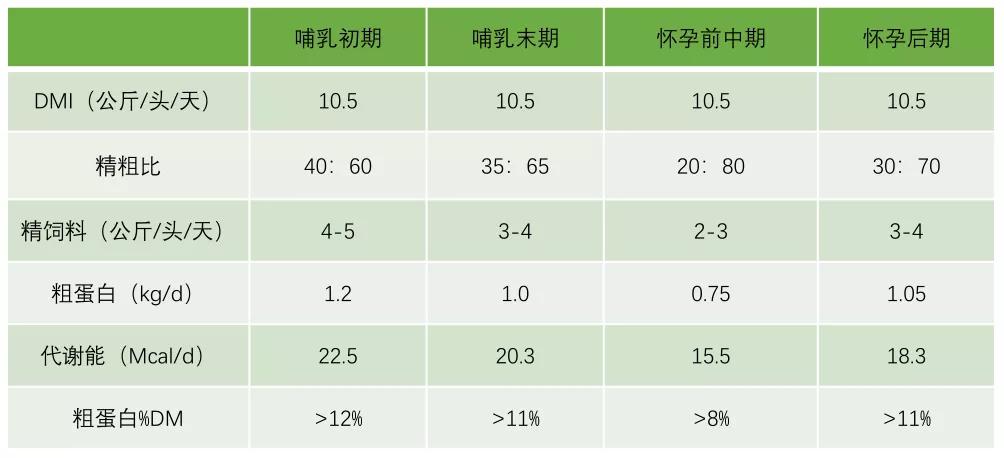 肉羊养殖技术指导方案_养殖方案指导肉羊技术要点_养殖方案指导肉羊技术有哪些