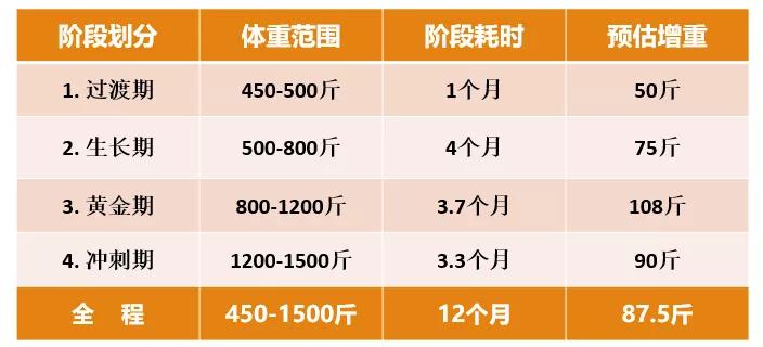 肉羊养殖技术指导方案_养殖方案指导肉羊技术有哪些_养殖方案指导肉羊技术要点