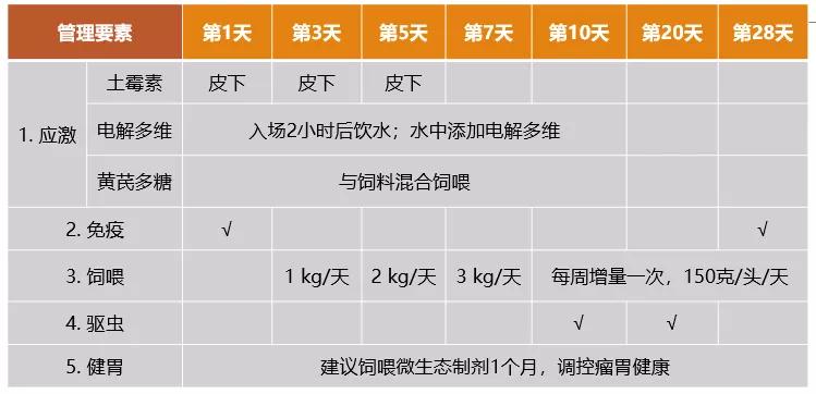 肉羊养殖技术指导方案_养殖方案指导肉羊技术有哪些_养殖方案指导肉羊技术要点