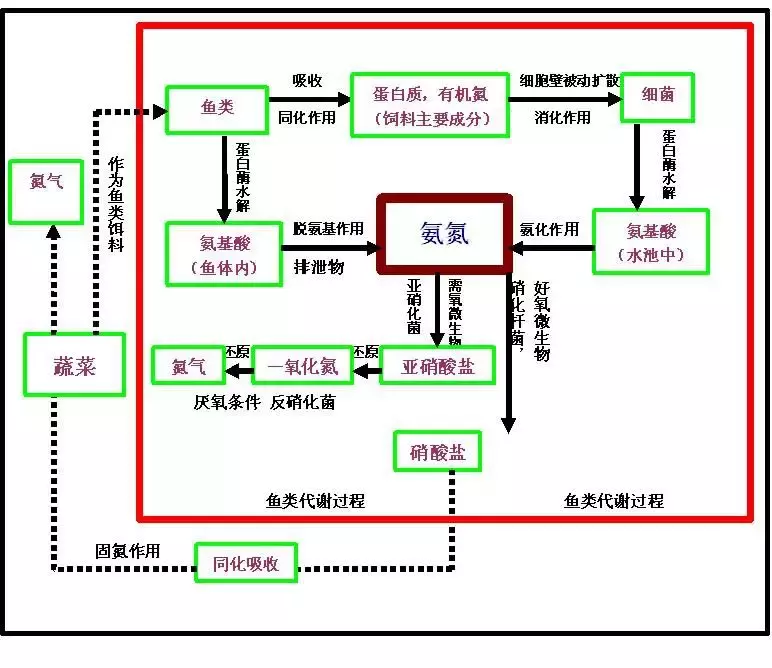 致富神器养殖废料有什么用_废料养殖致富神器_致富经废料利用回收