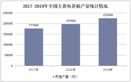 大黄鱼养殖技术书_大黄鱼养殖技术利润_养殖黄鱼的营养价值与功效