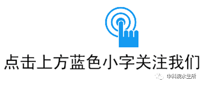 鱼塘养殖鲤鱼养殖技术_塘鲤鱼养殖技术视频_沙塘鲤养殖技术