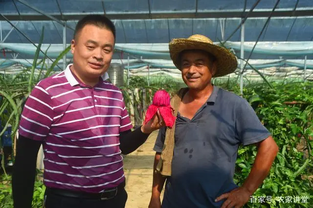 农业节目致富经种植视频_致富经种草视频_种植致富宝典视频