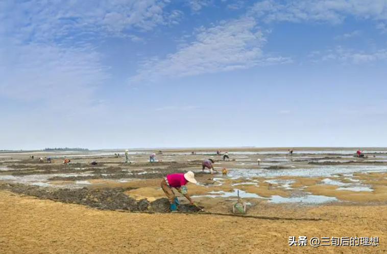 既能药食两用，又能改善环境，沙虫养殖市场的潜力不可估量