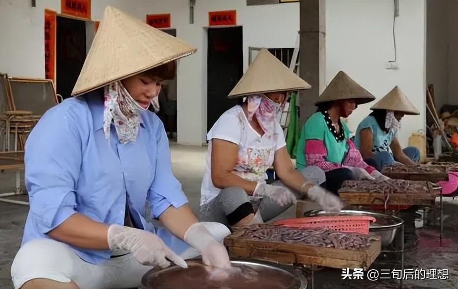 沙蚕养殖前景如何_室内沙蚕简易养殖技术_养殖沙蚕一般需要多少投资