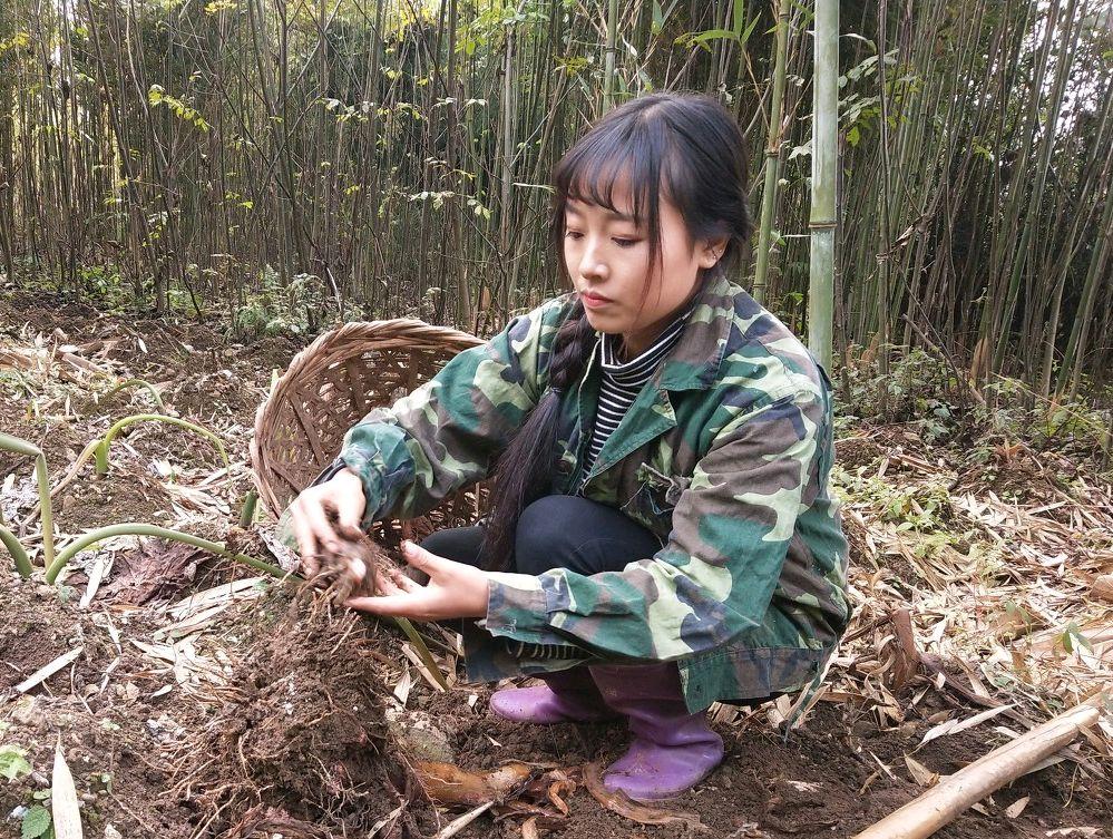 养殖黑猪前景怎么样_农村养殖黑猪_致富经养殖黑猪