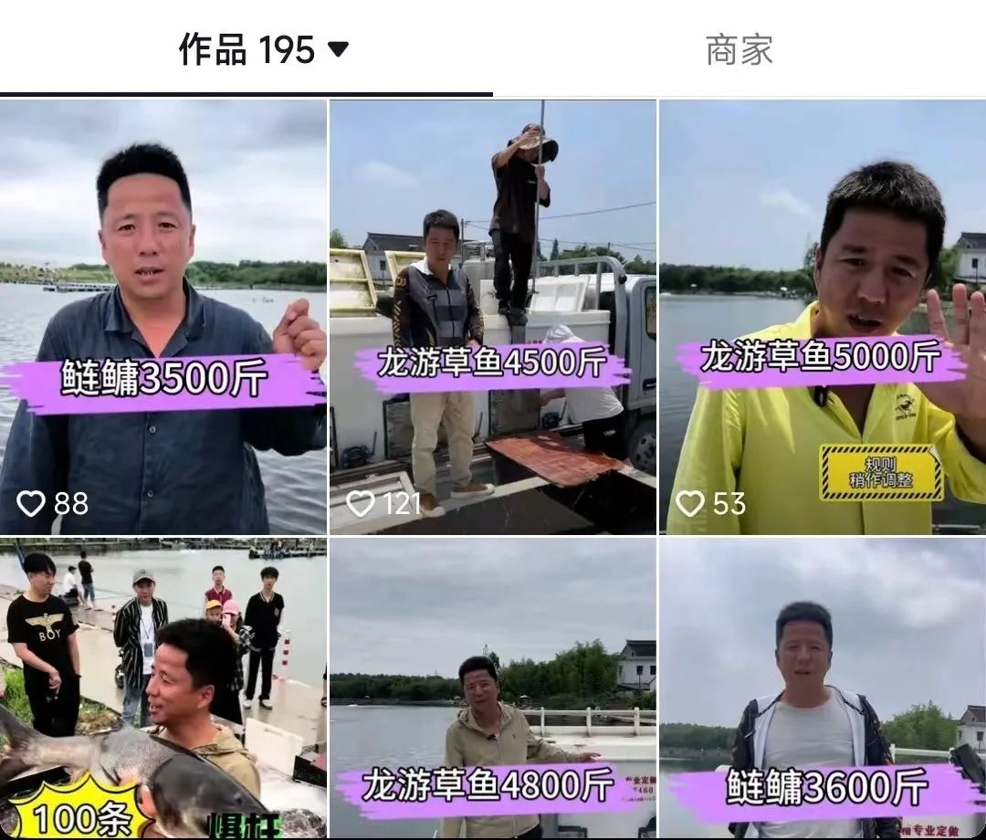 包海宁致富经_包海宁致富经_包海宁致富经