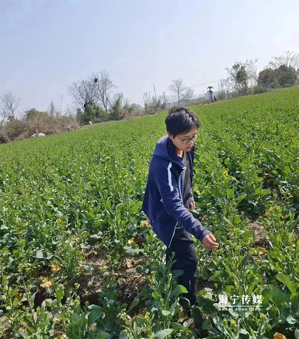 包海宁致富经_包海宁致富经_包海宁致富经