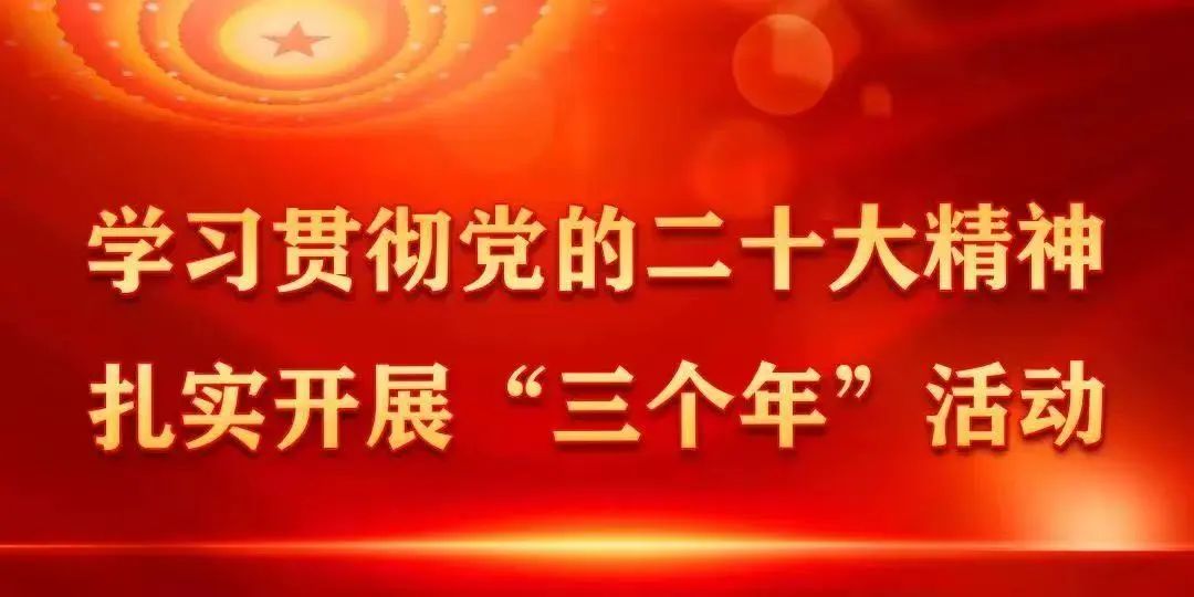 广东农村萝卜种植技术_萝卜种植技术视频_萝卜种植小技巧