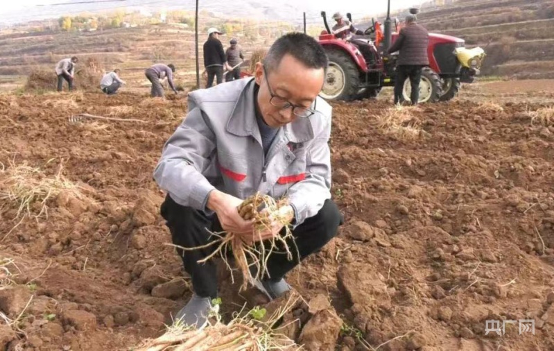 种植药材致富  对联_药材对联横批_种植业对联