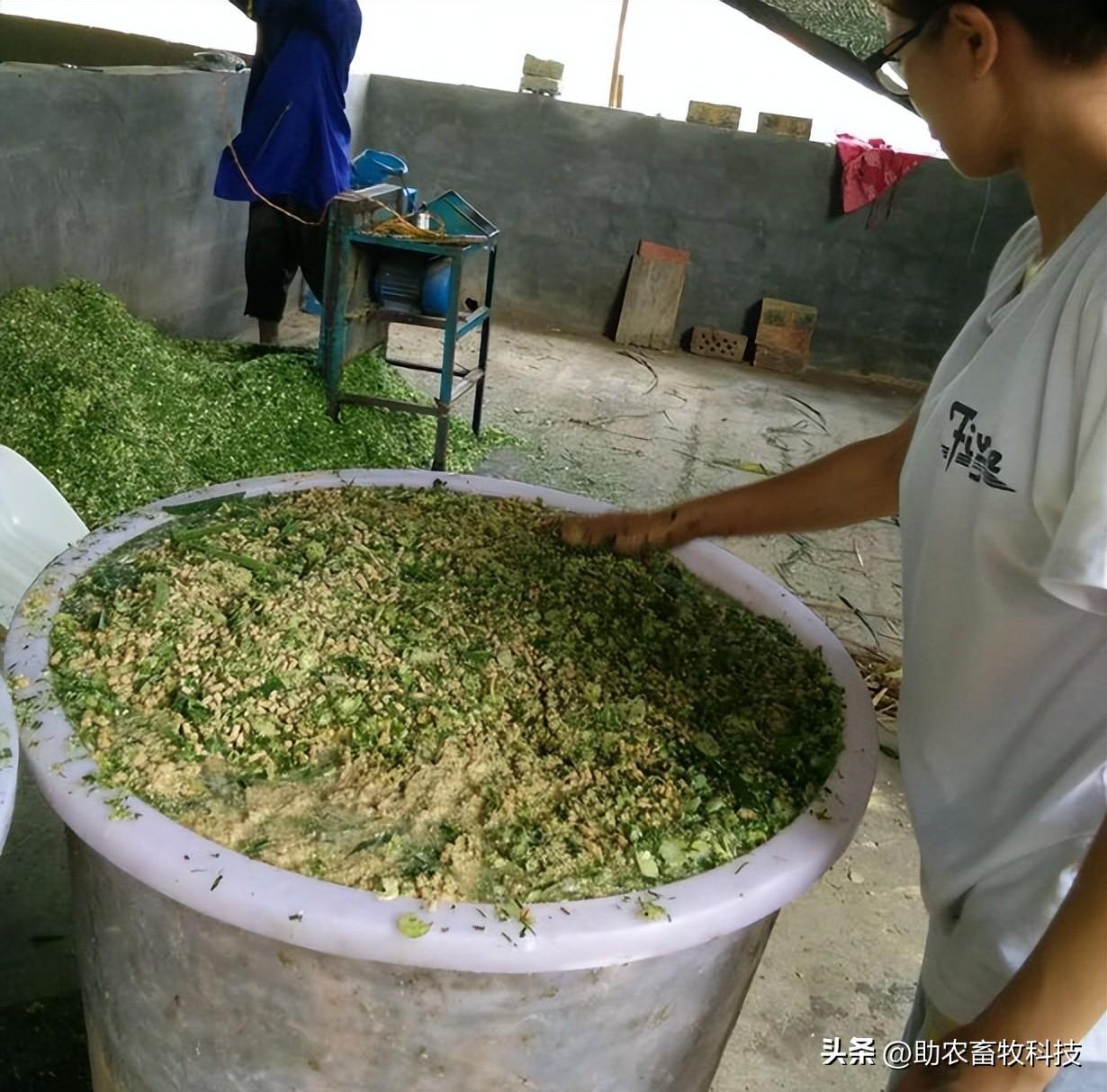 益生菌养殖致富项目_菌类养殖加盟_菌益稼有限公司