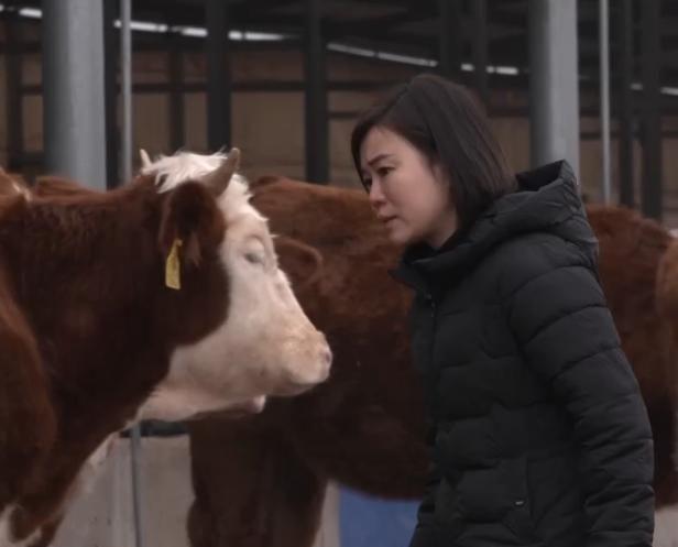 致富养殖什么最赚钱_美女养殖致富模式_致富养殖好项目大全