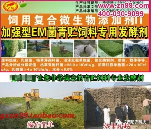 台湾甜象草草种植方法_台湾甜象草种植技术_台湾新型甜象草