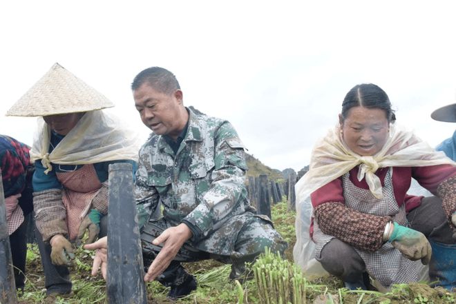 广东韭黄种植技术_南方韭黄种植技术视频_广东韭黄种植基地