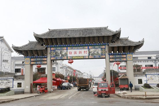 广东韭黄种植技术_南方韭黄种植技术视频_广东韭黄种植基地