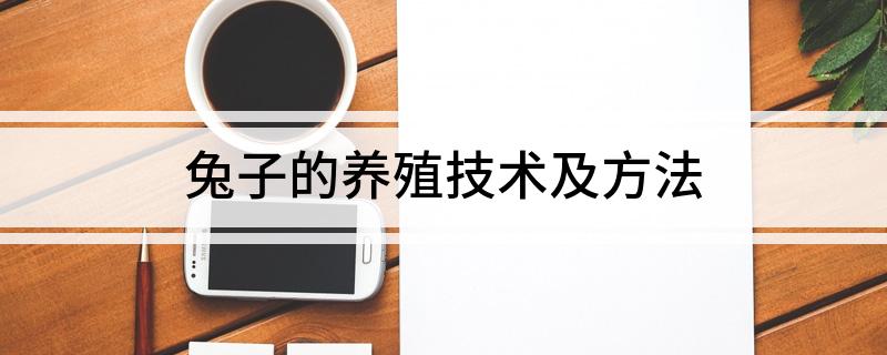 兔子的养殖技术及方法