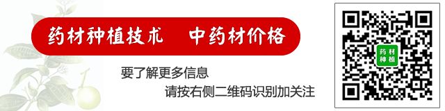 马蜂养殖致富信息_马蜂养殖骗局_致富经养马蜂技术视频