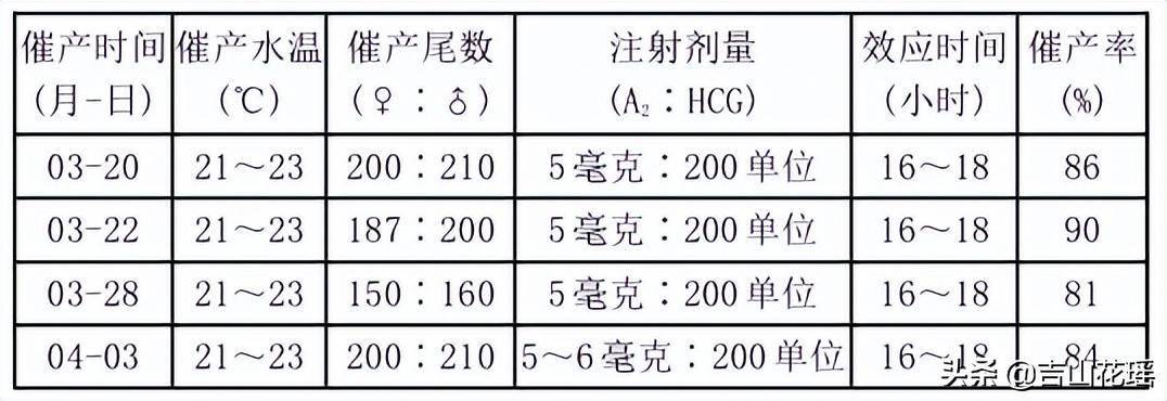 异育银鲫“中科5号”的规模化繁育和养殖推广