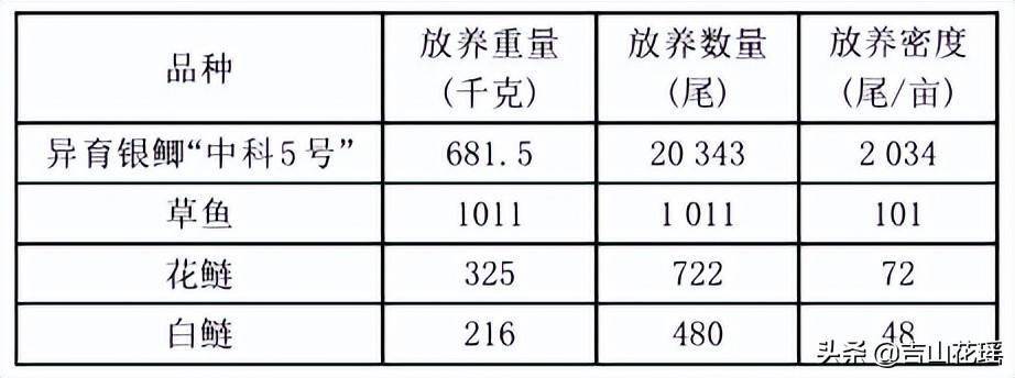 崇明地区异育银鲫“中科5号”池塘主养试验