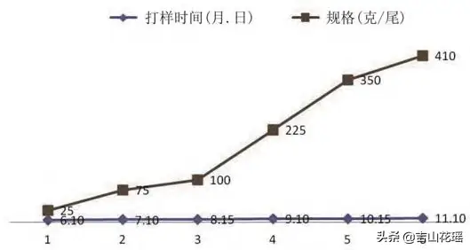 鲫鱼中华3号养殖技术_鲫鱼养殖技术视频教程_鲫鱼养殖成功案例