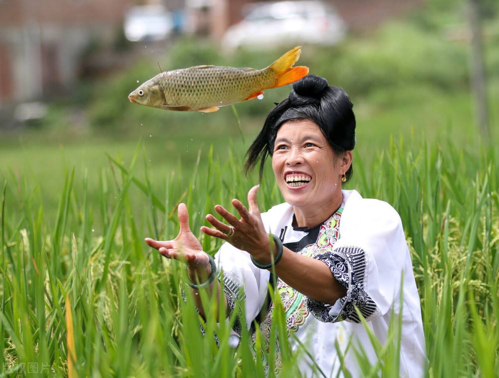 农村致富种植什么好_农村种植致富的好处是什么_农村致富项目种植业