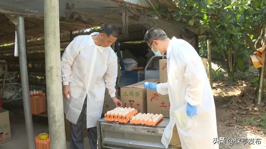 致富经菌菇种植_致富经食用菌种植_益生菌养殖致富项目