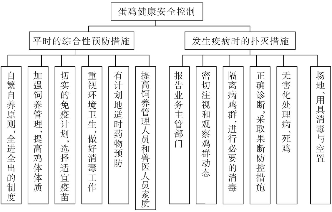 什么叫蛋鸡健康养殖的安全防疫体系？包括哪些环节？