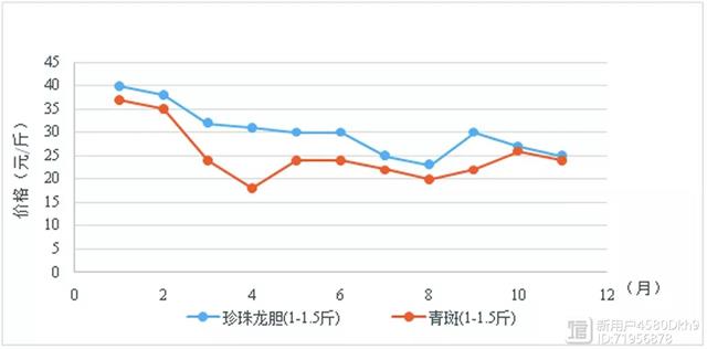 青斑鱼的养殖技术_养殖青斑鱼多少钱一斤_青斑鱼有养殖的吗