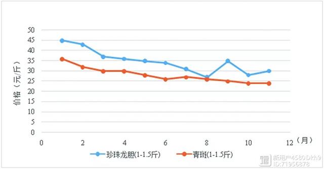 青斑鱼有养殖的吗_养殖青斑鱼多少钱一斤_青斑鱼的养殖技术