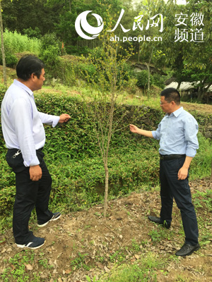 农业致富点子_池州现代农业致富经_农业致富节目