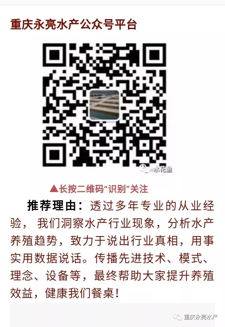 致富养殖鲈鱼技术视频_致富养殖鲈鱼技术培训_致富经鲈鱼养殖技术