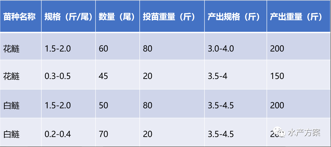 水库花鲢养殖技术_水库养花鲢技术视频大全_水库花鲢养殖成本及利润