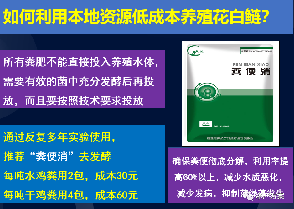 水库养花鲢技术视频大全_水库花鲢养殖技术_水库花鲢养殖成本及利润